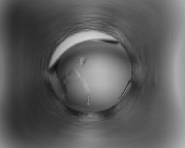 X0000088210329200705292057