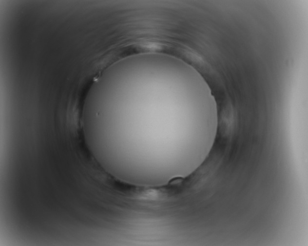 X0000088210330200705292057