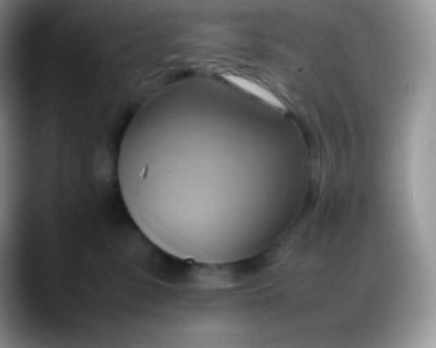 X0000088210331200705292057