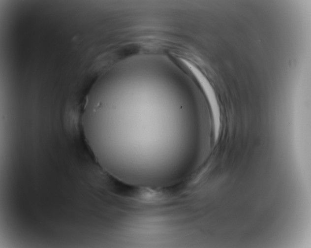 X0000088210333200705292057