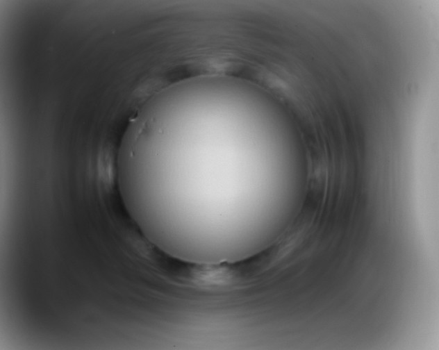 X0000088210334200705292057