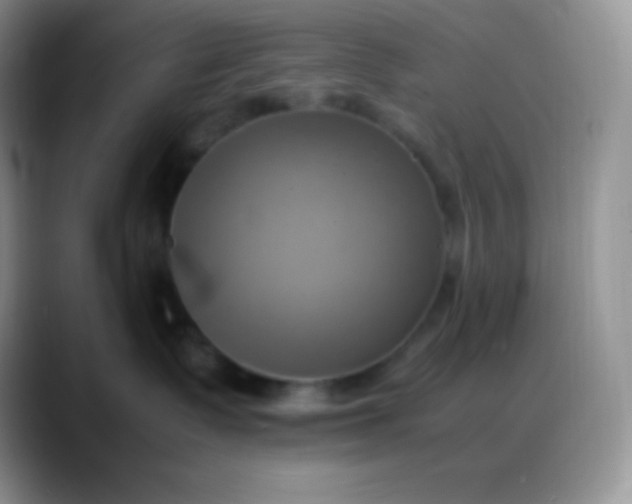 X0000088210335200705292057