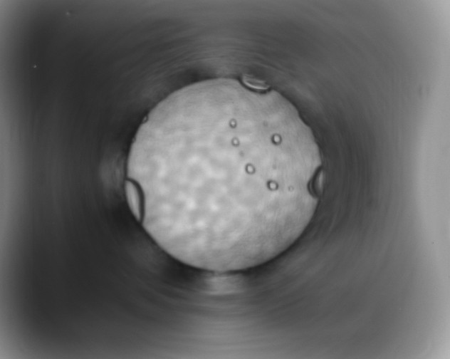 X0000088210336200705292057