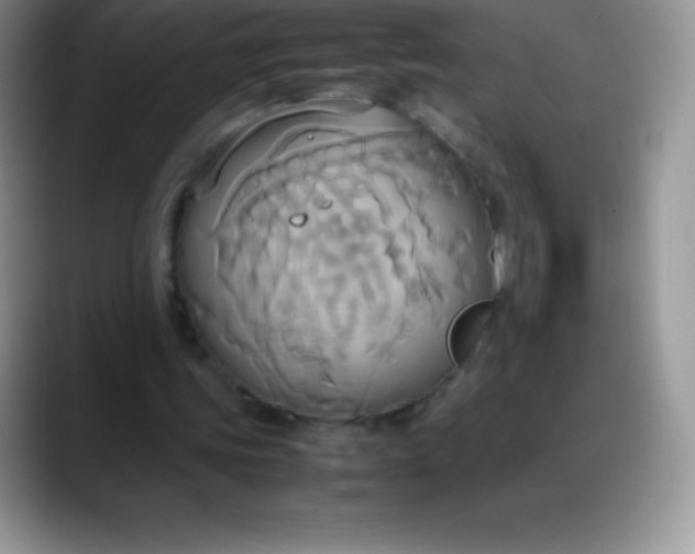 X0000088210339200705292057