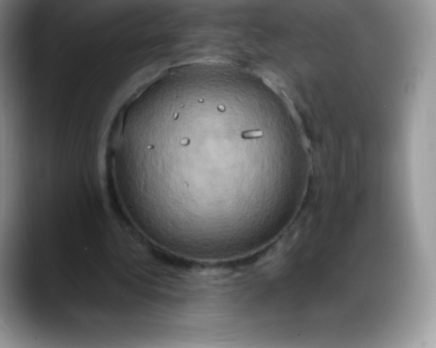 X0000088210340200705292057