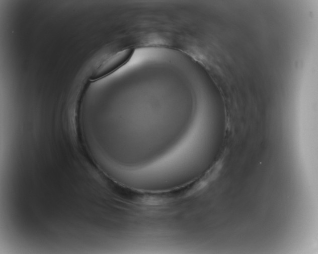 X0000088210341200705292057