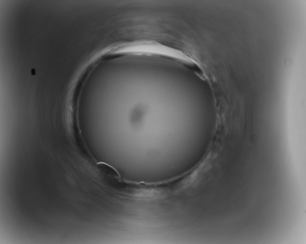 X0000088210342200705292057