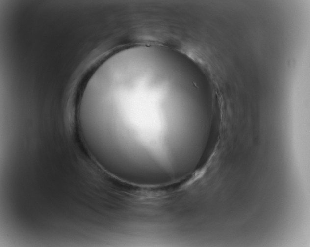 X0000088210343200705292057