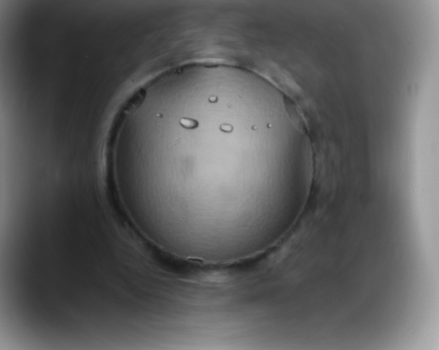 X0000088210344200705292057