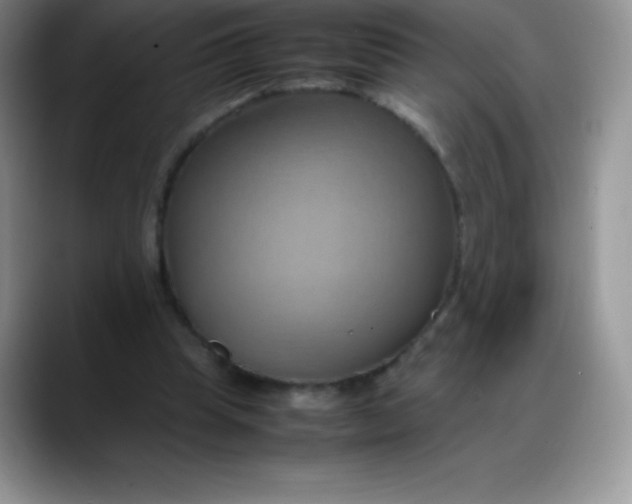 X0000088210345200705292057