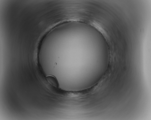 X0000088210346200705292057