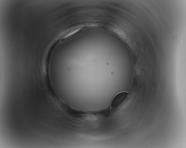 X0000088210347200705292057