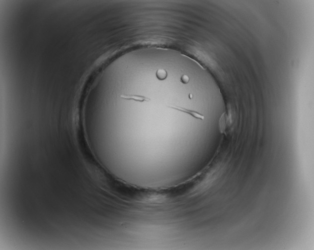 X0000088210348200705292057