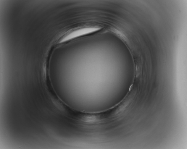 X0000088210349200705292057