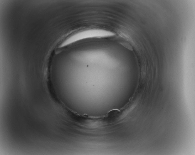 X0000088210351200705292057