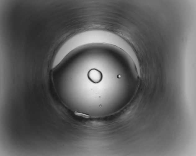 X0000088210352200705292057