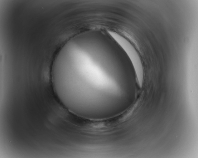 X0000088210353200705292057