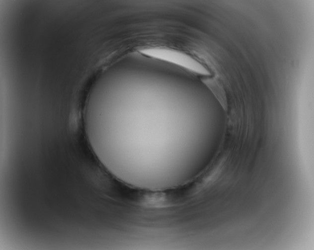 X0000088210355200705292057