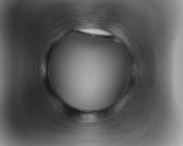 X0000088210358200705292057