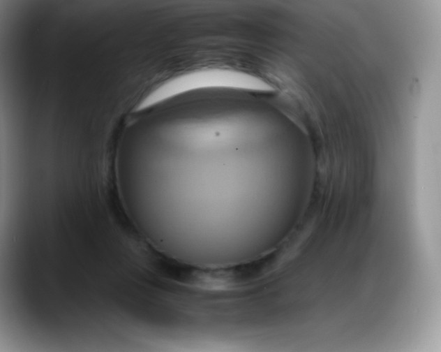 X0000088210359200705292057