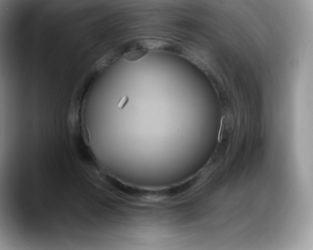 X0000088210360200705292057