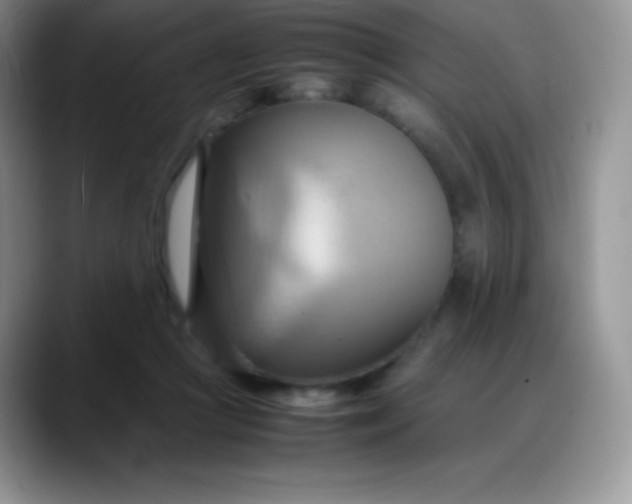 X0000088210361200705292057