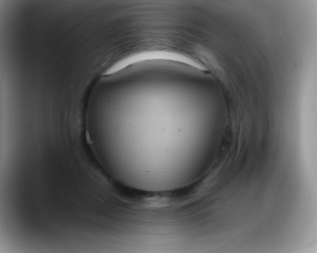 X0000088210362200705292057