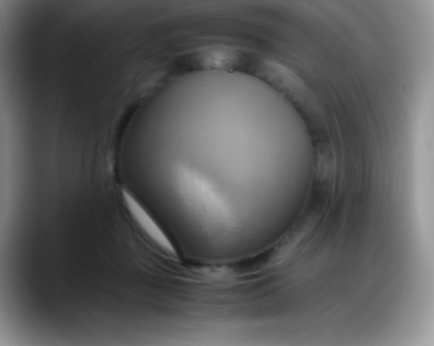 X0000088210363200705292057