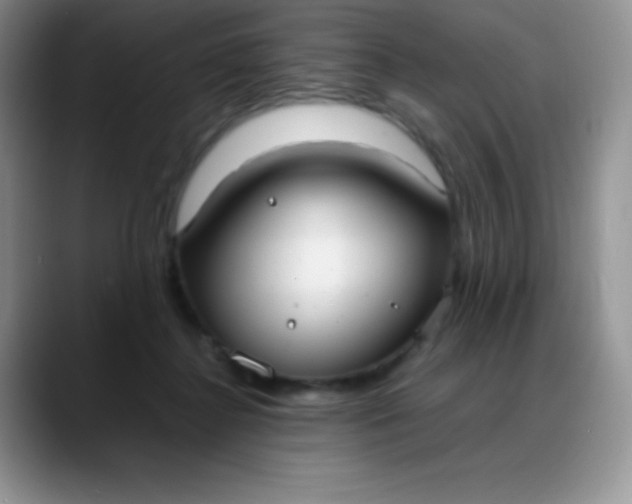 X0000088210364200705292057