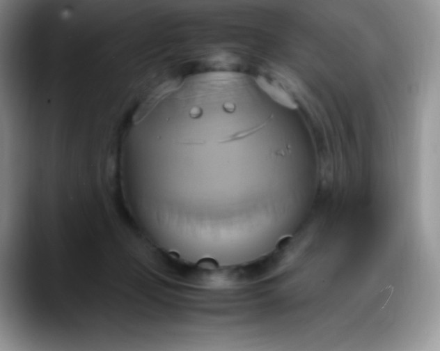 X0000088210365200705292057