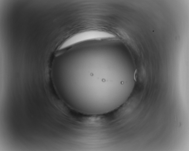 X0000088210366200705292057