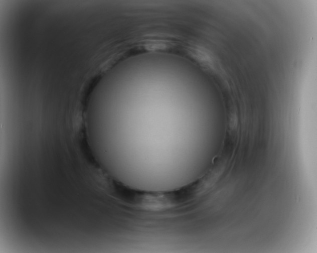 X0000088210367200705292057