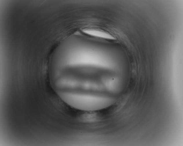 X0000088210369200705292057