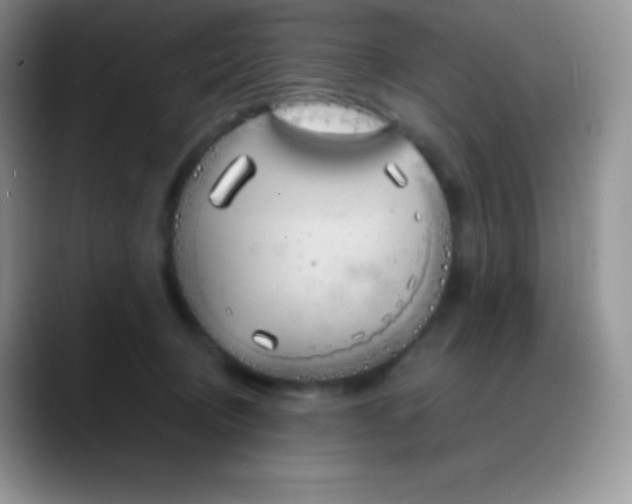 X0000088210370200705292057