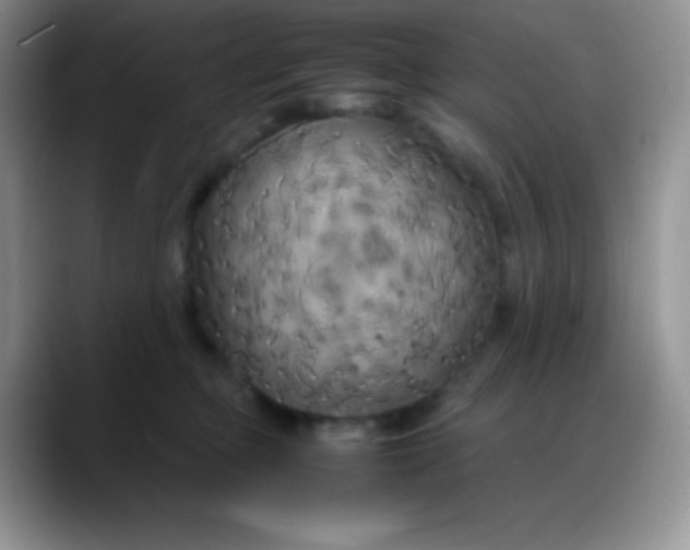 X0000088210373200705292057