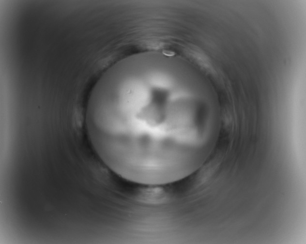 X0000088210374200705292057