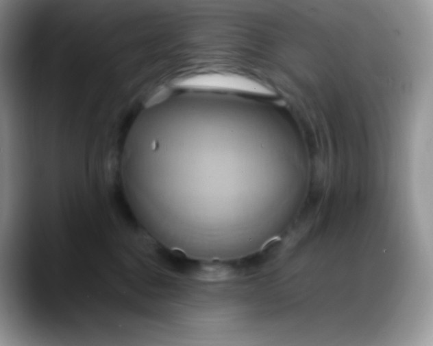 X0000088210376200705292057