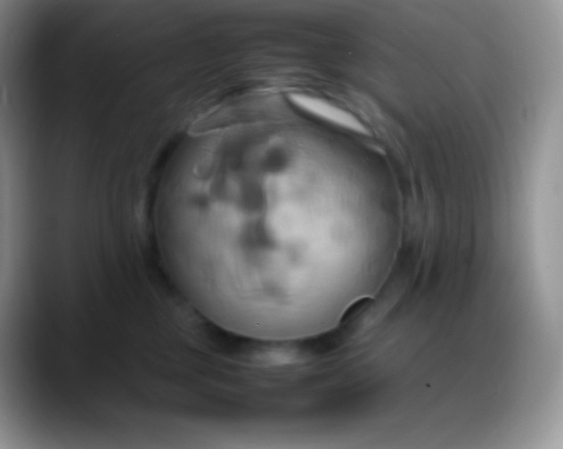 X0000088210377200705292057