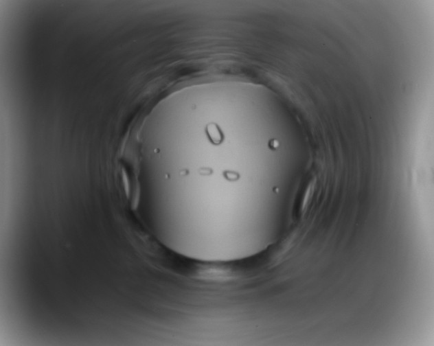 X0000088210380200705292057