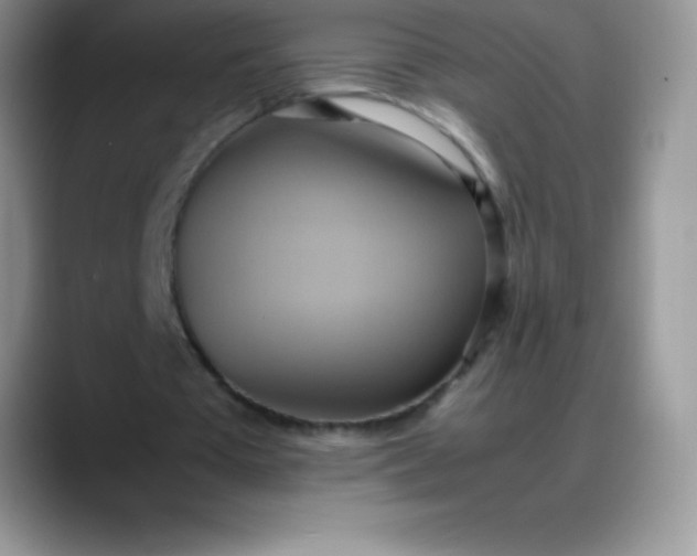 X0000088210385200705292057