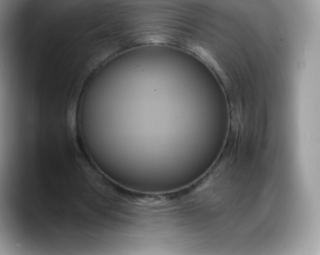 X0000088210386200705292057