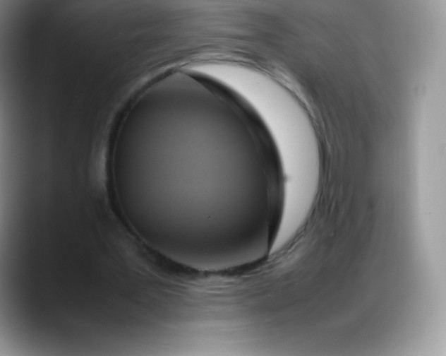 X0000088210387200705292057