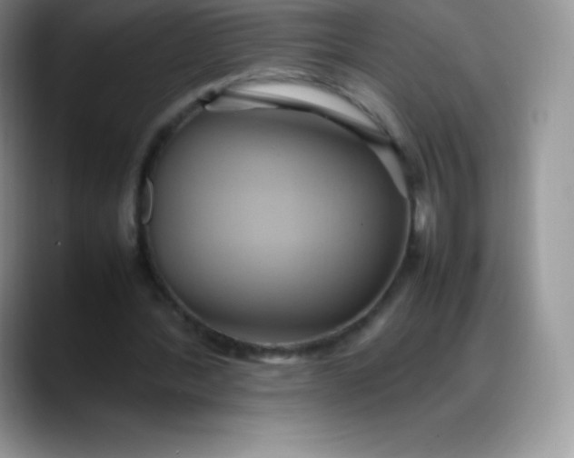 X0000088210388200705292057