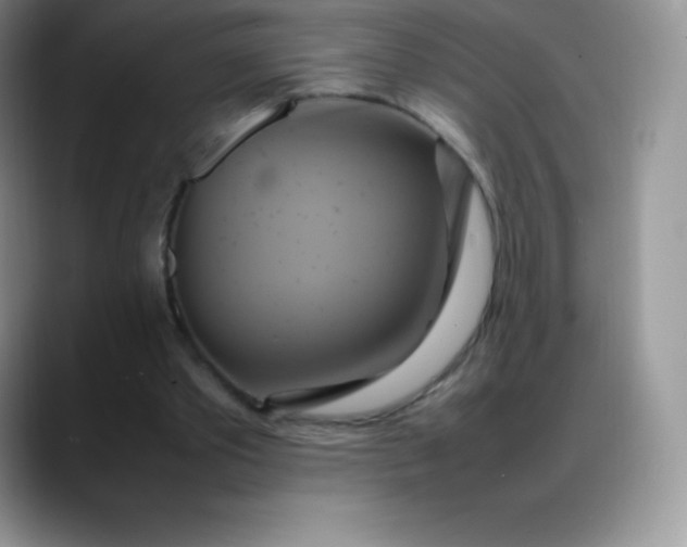 X0000088210389200705292057