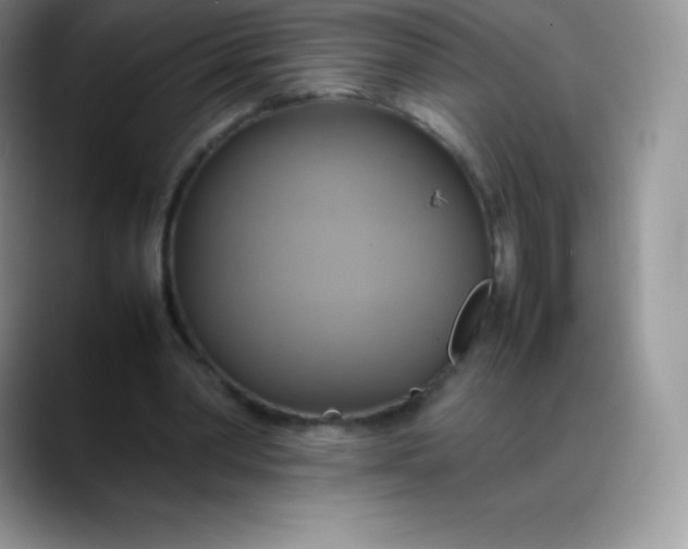 X0000088210390200705292057