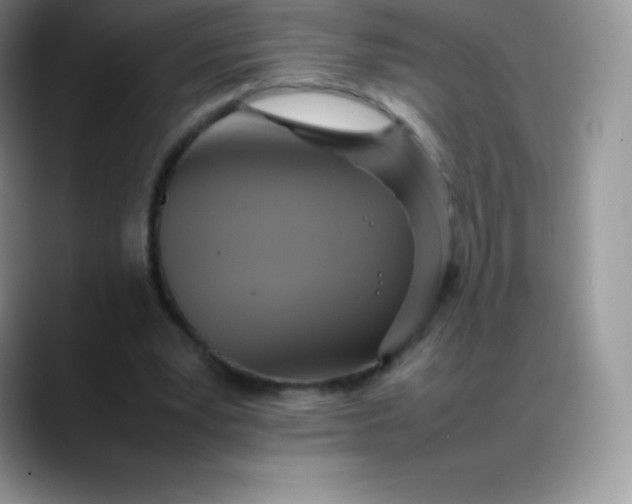 X0000088210391200705292057