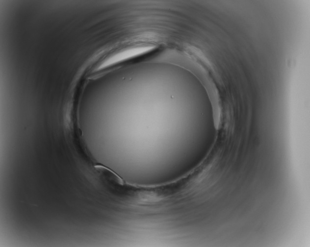 X0000088210392200705292057