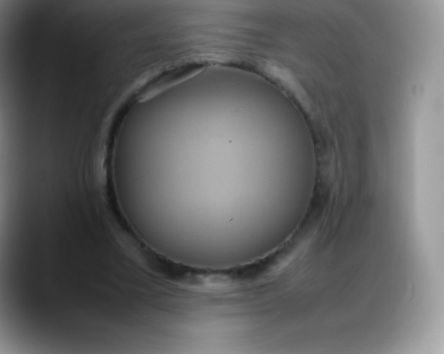 X0000088210395200705292057