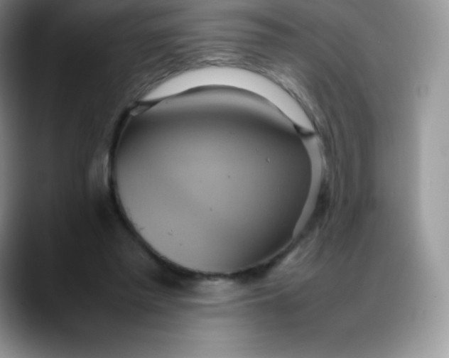 X0000088210397200705292057