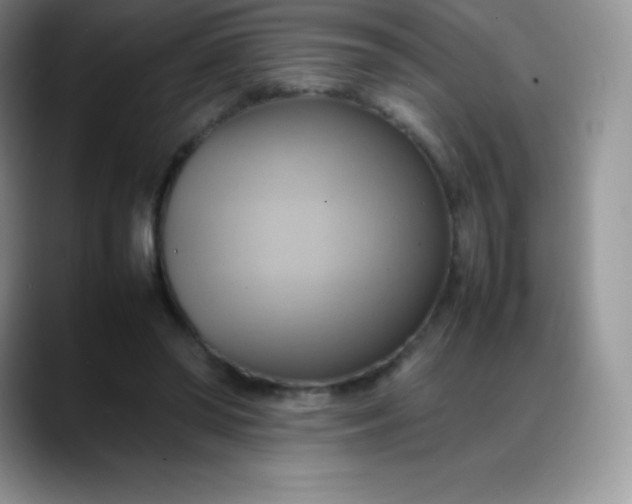 X0000088210398200705292056